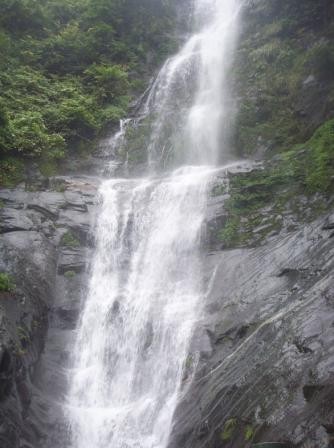 周洛活動(dòng) 周洛活動(dòng)